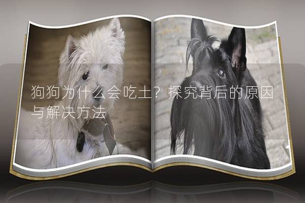 狗狗为什么会吃土？探究背后的原因与解决方法