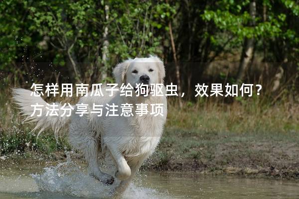 怎样用南瓜子给狗驱虫,效果如何?方法分享与注意事项 怎样用南瓜子给狗驱虫,效果如何?方法分享与注意事项