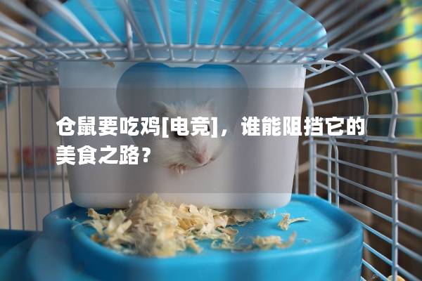仓鼠要吃鸡[电竞]，谁能阻挡它的美食之路？