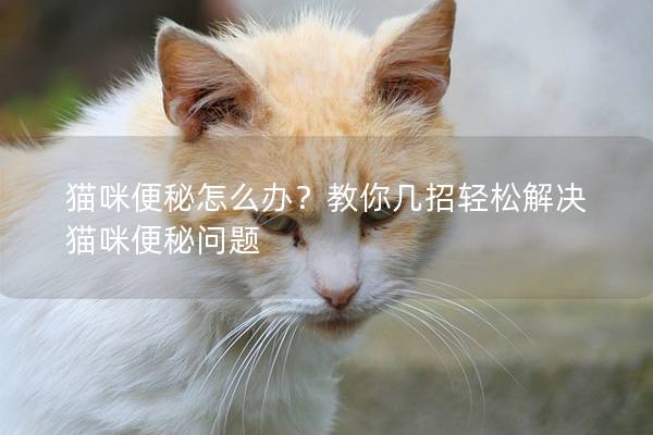 猫咪便秘怎么办？教你几招轻松解决猫咪便秘问题