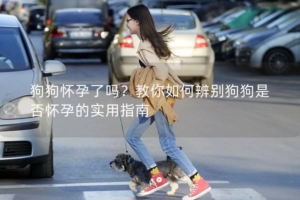 狗狗怀孕了吗？教你如何辨别狗狗是否怀孕的实用指南