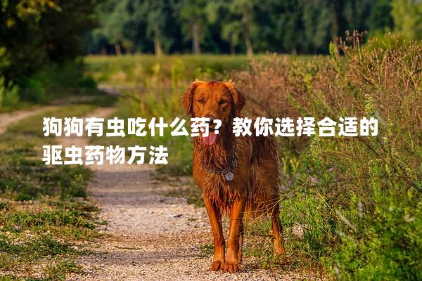 狗狗有虫吃什么药？教你选择合适的驱虫药物方法