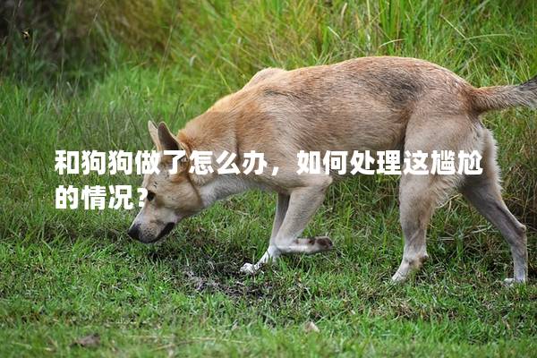 和狗狗做了怎么办,如何处理这尴尬的情况? 和狗狗做了怎么办,如何处理这尴尬的情况?