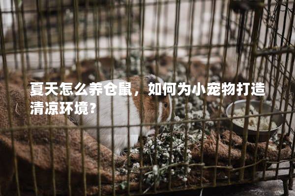 夏天怎么养仓鼠,如何为小宠物打造清凉环境? 夏天怎么养仓鼠,如何为小宠物打造清凉环境?
