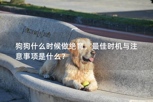 狗狗什么时候做绝育，最佳时机与注意事项是什么？