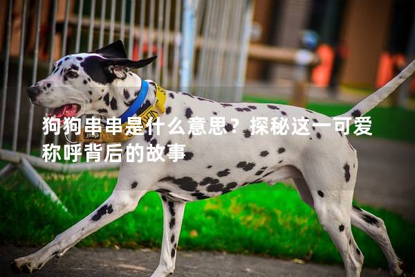 狗狗串串是什么意思？探秘这一可爱称呼背后的故事