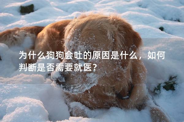 为什么狗狗会吐的原因是什么，如何判断是否需要就医？