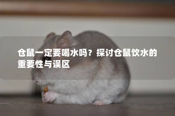 仓鼠一定要喝水吗？探讨仓鼠饮水的重要性与误区
