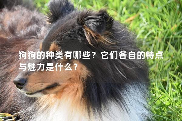 狗狗的种类有哪些?它们各自的特点与魅力是什么? 狗狗的种类有哪些?它们各自的特点与魅力是什么?