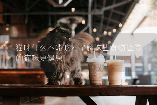 猫咪什么不能吃？了解这些食物让你的猫咪更健康