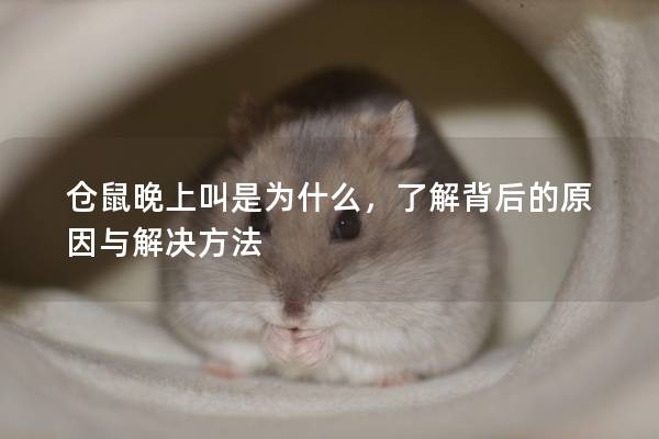 仓鼠晚上叫是为什么，了解背后的原因与解决方法