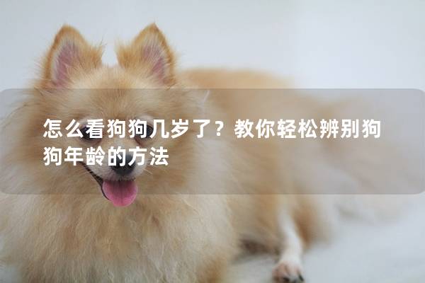 怎么看狗狗几岁了？教你轻松辨别狗狗年龄的方法