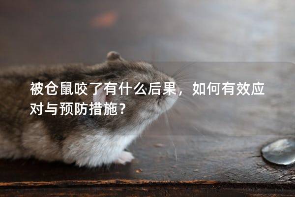 被仓鼠咬了有什么后果，如何有效应对与预防措施？