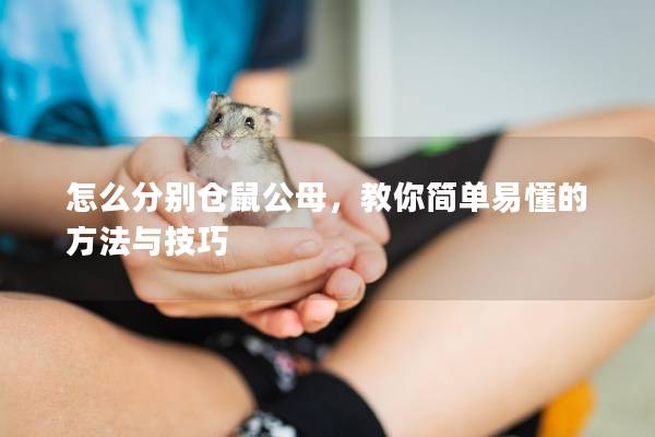怎么分别仓鼠公母，教你简单易懂的方法与技巧