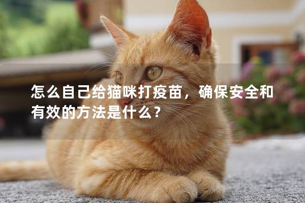 怎么自己给猫咪打疫苗，确保安全和有效的方法是什么？