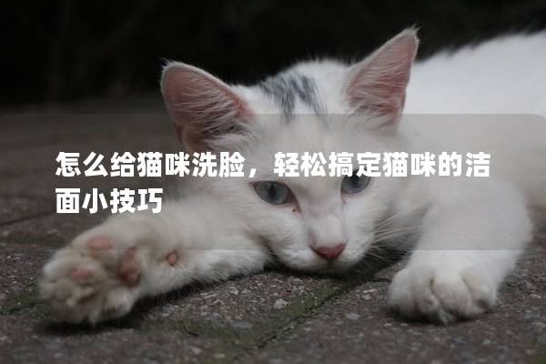 怎么给猫咪洗脸，轻松搞定猫咪的洁面小技巧