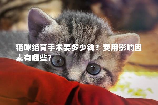 猫咪绝育手术要多少钱？费用影响因素有哪些？