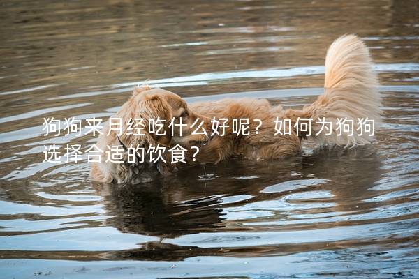 狗狗来月经吃什么好呢？如何为狗狗选择合适的饮食？