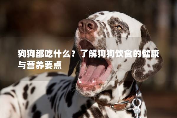 狗狗都吃什么？了解狗狗饮食的健康与营养要点