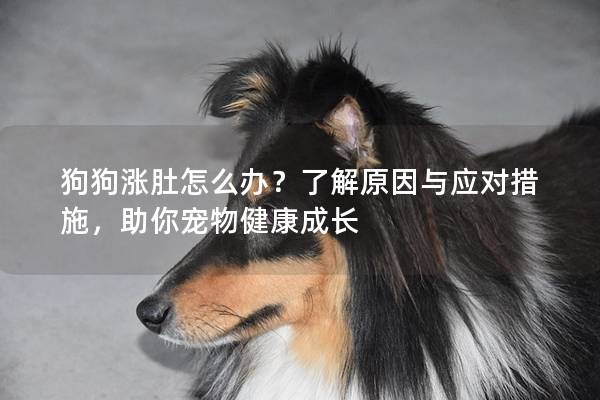 狗狗涨肚怎么办？了解原因与应对措施，助你宠物健康成长