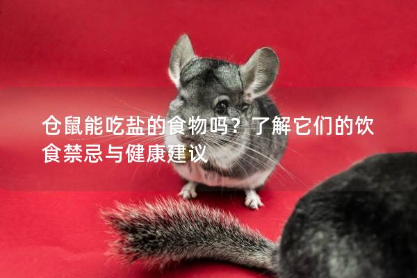 仓鼠能吃盐的食物吗？了解它们的饮食禁忌与健康建议