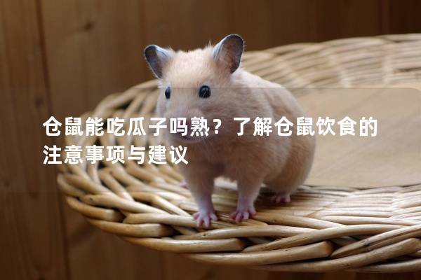 仓鼠能吃瓜子吗熟？了解仓鼠饮食的注意事项与建议