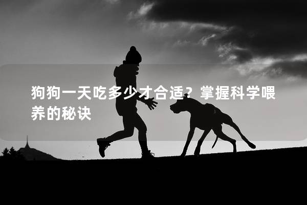 狗狗一天吃多少才合适？掌握科学喂养的秘诀