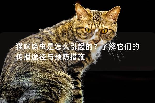 猫咪绦虫是怎么引起的？了解它们的传播途径与预防措施