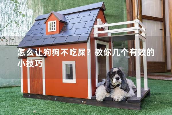 怎么让狗狗不吃屎？教你几个有效的小技巧