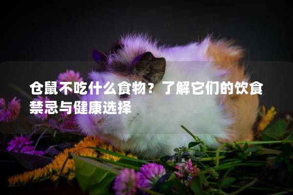 仓鼠不吃什么食物？了解它们的饮食禁忌与健康选择