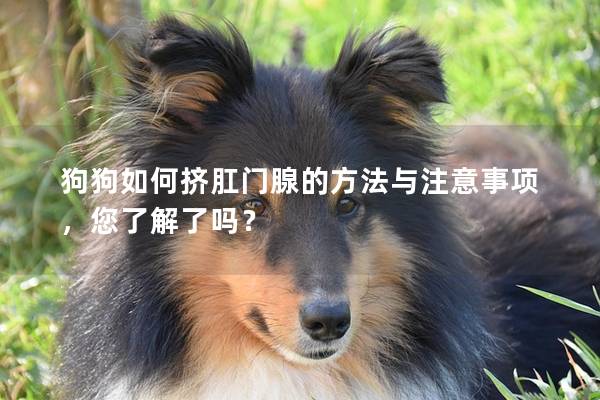 狗狗如何挤肛门腺的方法与注意事项，您了解了吗？