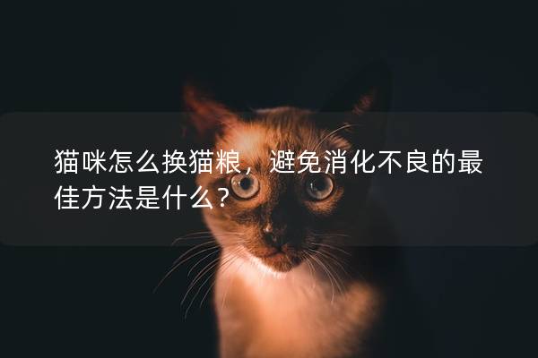 猫咪怎么换猫粮,避免消化不良的最佳方法是什么? 猫咪怎么换猫粮,避免消化不良的最佳方法是什么?