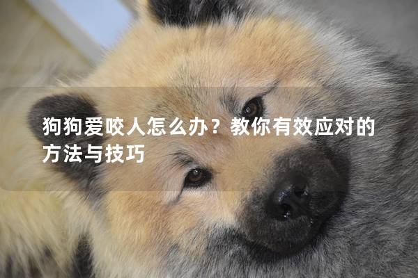 狗狗爱咬人怎么办？教你有效应对的方法与技巧