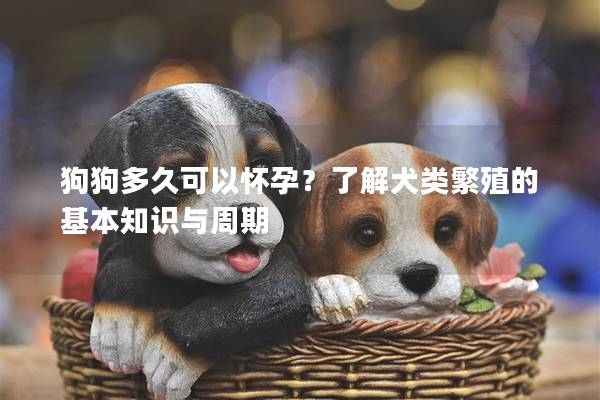狗狗多久可以怀孕？了解犬类繁殖的基本知识与周期