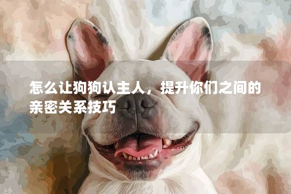 怎么让狗狗认主人，提升你们之间的亲密关系技巧