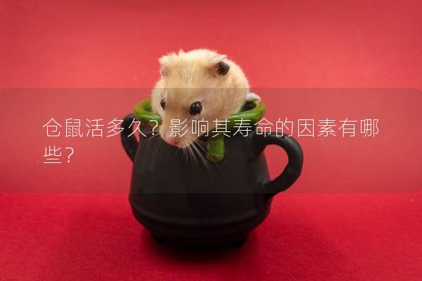 仓鼠活多久？影响其寿命的因素有哪些？