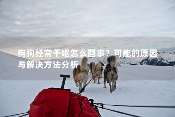 狗狗经常干呕怎么回事？可能的原因与解决方法分析