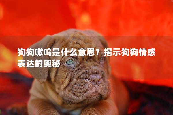 狗狗嗷呜是什么意思？揭示狗狗情感表达的奥秘