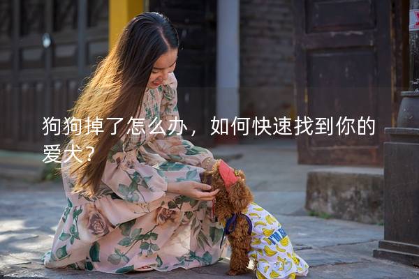 狗狗掉了怎么办，如何快速找到你的爱犬？