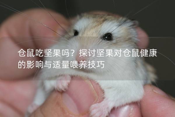 仓鼠吃坚果吗？探讨坚果对仓鼠健康的影响与适量喂养技巧