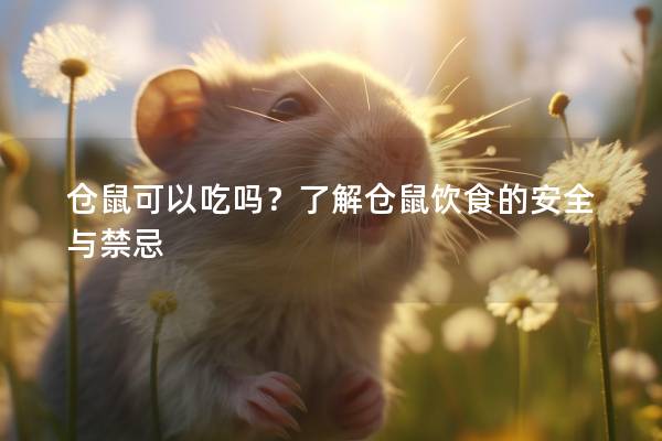 仓鼠可以吃吗？了解仓鼠饮食的安全与禁忌