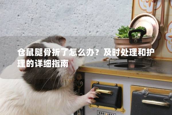 仓鼠腿骨折了怎么办？及时处理和护理的详细指南