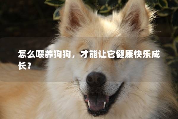怎么喂养狗狗，才能让它健康快乐成长？