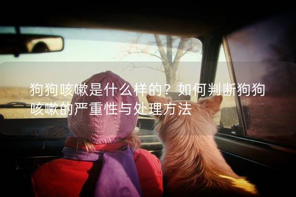 狗狗咳嗽是什么样的？如何判断狗狗咳嗽的严重性与处理方法