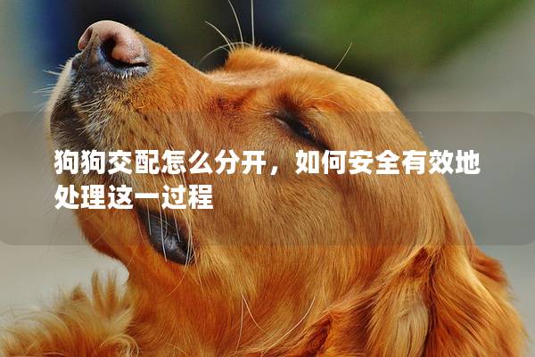 狗狗交配怎么分开，如何安全有效地处理这一过程