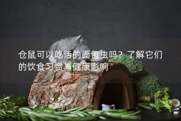 仓鼠可以吃活的面包虫吗?了解它们的饮食习惯与健康影响 仓鼠可以吃活的面包虫吗?了解它们的饮食习惯与健康影响