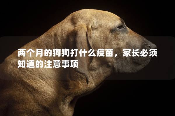 两个月的狗狗打什么疫苗,家长必须知道的注意事项 两个月的狗狗打什么疫苗,家长必须知道的注意事项