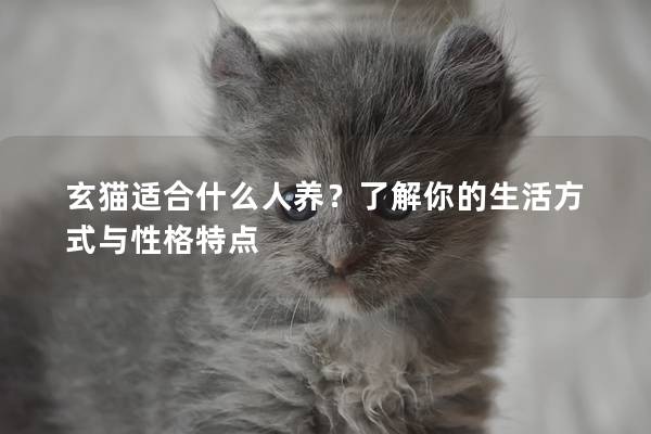 玄猫适合什么人养?了解你的生活方式与性格特点 玄猫适合什么人养?了解你的生活方式与性格特点