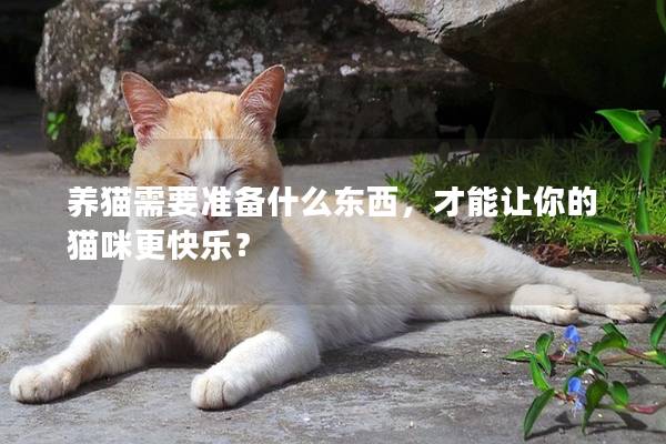 养猫需要准备什么东西,才能让你的猫咪更快乐? 养猫需要准备什么东西,才能让你的猫咪更快乐?
