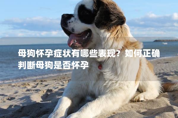 母狗怀孕症状有哪些表现?如何正确判断母狗是否怀孕 母狗怀孕症状有哪些表现?如何正确判断母狗是否怀孕